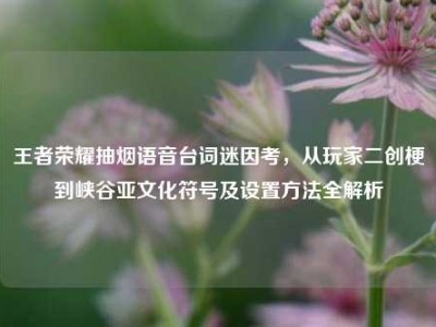 王者荣耀抽烟语音台词迷因考，从玩家二创梗到峡谷亚文化符号及设置方法全解析