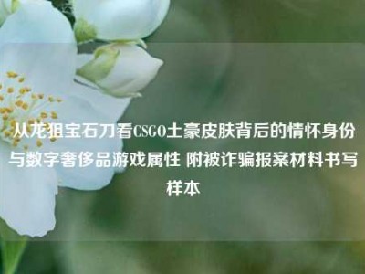从龙狙宝石刀看CSGO土豪皮肤背后的情怀身份与数字奢侈品游戏属性 附被诈骗报案材料书写样本