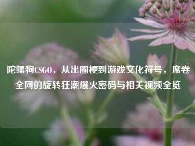 陀螺狗CSGO，从出圈梗到游戏文化符号，席卷全网的旋转狂潮爆火密码与相关视频全览