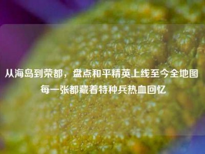 从海岛到荣都，盘点和平精英上线至今全地图 每一张都藏着特种兵热血回忆