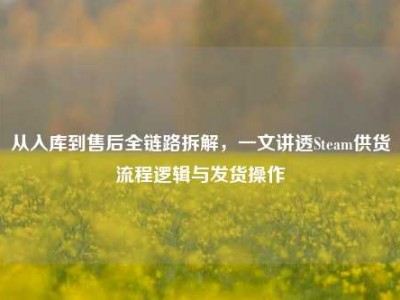 从入库到售后全链路拆解，一文讲透Steam供货流程逻辑与发货操作