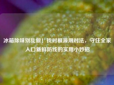 冰箱除味别乱做！找对根源用对法，守住全家入口新鲜防线的实用小妙招