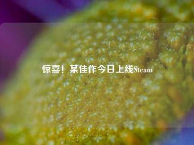 惊喜！某佳作今日上线Steam