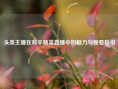 头条主播在和平精英直播中的魅力与观看指引