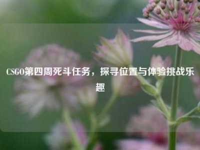 CSGO第四周死斗任务，探寻位置与体验挑战乐趣