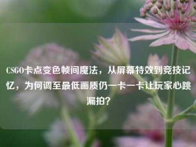 CSGO卡点变色帧间魔法，从屏幕特效到竞技记忆，为何调至最低画质仍一卡一卡让玩家心跳漏拍？
