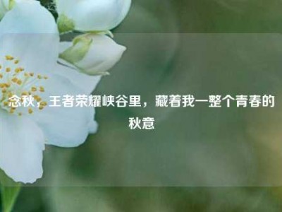 念秋，王者荣耀峡谷里，藏着我一整个青春的秋意