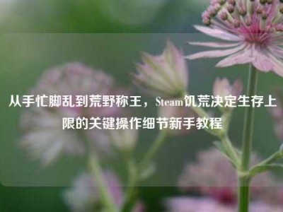 从手忙脚乱到荒野称王，Steam饥荒决定生存上限的关键操作细节新手教程