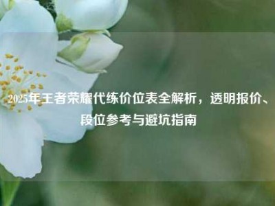2025年王者荣耀代练价位表全解析，透明报价、段位参考与避坑指南