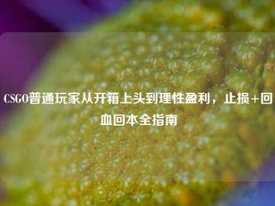 CSGO普通玩家从开箱上头到理性盈利，止损+回血回本全指南