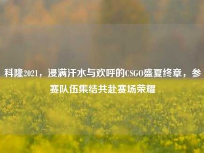 科隆2021，浸满汗水与欢呼的CSGO盛夏终章，参赛队伍集结共赴赛场荣耀