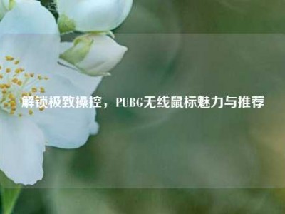 解锁极致操控，PUBG无线鼠标魅力与推荐