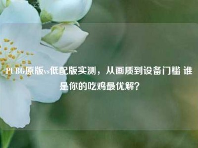 PUBG原版vs低配版实测，从画质到设备门槛 谁是你的吃鸡最优解？