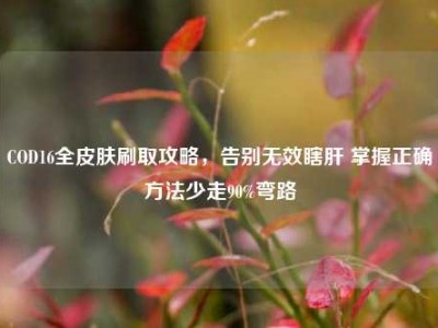 COD16全皮肤刷取攻略，告别无效瞎肝 掌握正确方法少走90%弯路
