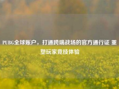 PUBG全球账户，打通跨端战场的官方通行证 重塑玩家竞技体验