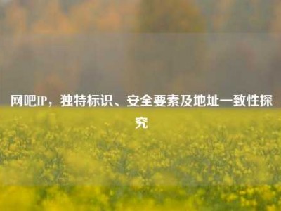 网吧IP，独特标识、安全要素及地址一致性探究