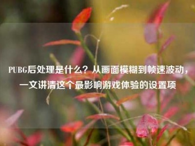 PUBG后处理是什么？从画面模糊到帧速波动，一文讲清这个最影响游戏体验的设置项