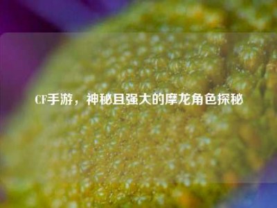 CF手游，神秘且强大的摩龙角色探秘