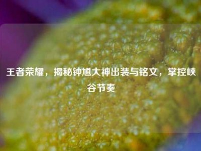 王者荣耀，揭秘钟馗大神出装与铭文，掌控峡谷节奏