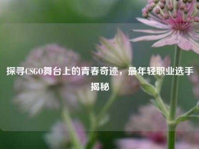 探寻CSGO舞台上的青春奇迹，最年轻职业选手揭秘