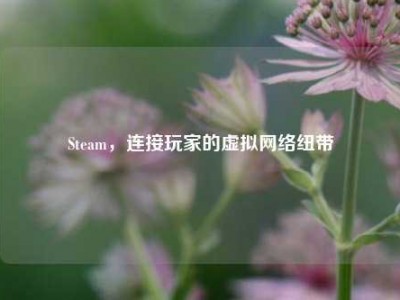 Steam，连接玩家的虚拟网络纽带