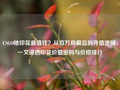CSGO啥印花最值钱？从百万级藏品到升值逻辑，一文讲透印花价值密码与价格排行
