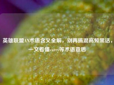 英雄联盟AN术语含义全解，别再搞混高频黑话，一文看懂carry等术语意思