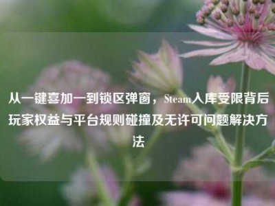 从一键喜加一到锁区弹窗，Steam入库受限背后玩家权益与平台规则碰撞及无许可问题解决方法