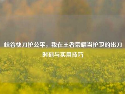 峡谷快刀护公平，我在王者荣耀当护卫的出刀时刻与实用技巧
