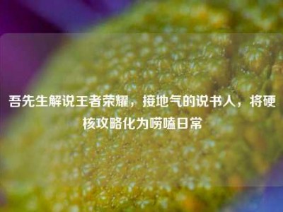吾先生解说王者荣耀，接地气的说书人，将硬核攻略化为唠嗑日常