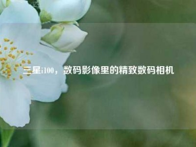 三星i100，数码影像里的精致数码相机