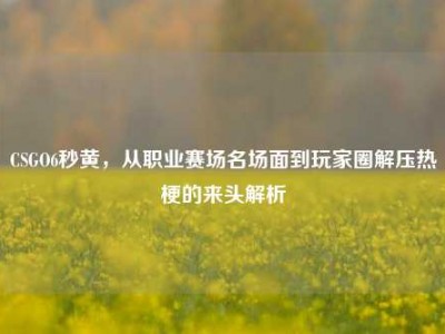 CSGO6秒黄，从职业赛场名场面到玩家圈解压热梗的来头解析