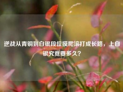 逆战从青铜到白银段位摸爬滚打成长路，上白银究竟要多久？