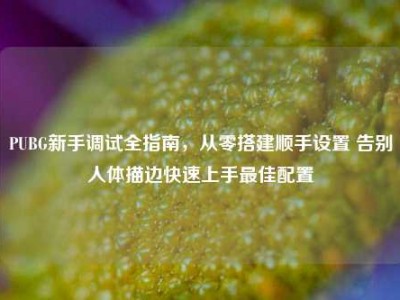 PUBG新手调试全指南，从零搭建顺手设置 告别人体描边快速上手最佳配置