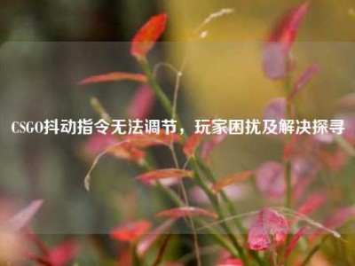CSGO抖动指令无法调节，玩家困扰及解决探寻
