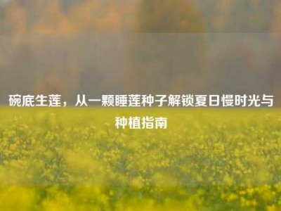 碗底生莲，从一颗睡莲种子解锁夏日慢时光与种植指南