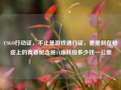 CSGO行动证，不止是游戏通行证，更是刻在枪皮上的青春纪念册14油耗投多少钱一公里