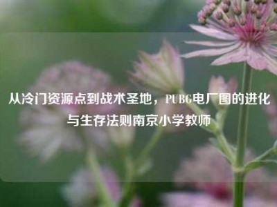 从冷门资源点到战术圣地，PUBG电厂图的进化与生存法则南京小学教师