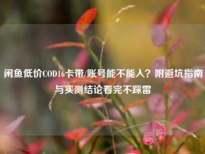 闲鱼低价COD16卡带/账号能不能入？附避坑指南与实测结论看完不踩雷