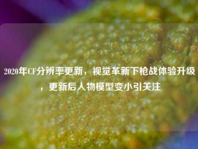 2020年CF分辨率更新，视觉革新下枪战体验升级，更新后人物模型变小引关注