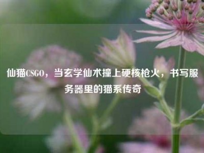 仙猫CSGO，当玄学仙术撞上硬核枪火，书写服务器里的猫系传奇