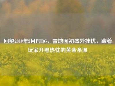 回望2019年2月PUBG，雪地图初盛外挂扰，藏着玩家开黑热忱的黄金余温