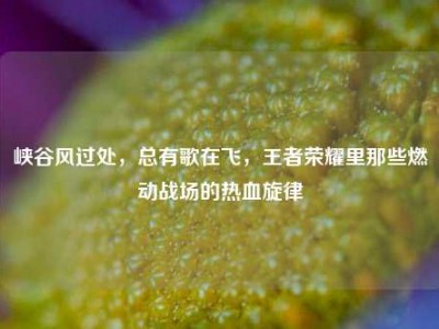 峡谷风过处，总有歌在飞，王者荣耀里那些燃动战场的热血旋律