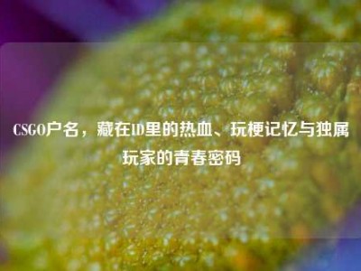 CSGO户名，藏在ID里的热血、玩梗记忆与独属玩家的青春密码