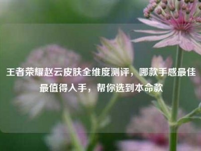 王者荣耀赵云皮肤全维度测评，哪款手感最佳最值得入手，帮你选到本命款