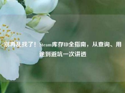 别再乱找了！Steam库存ID全指南，从查询、用途到避坑一次讲透