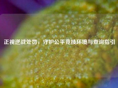 正视逆战处罚，守护公平竞技环境与查询指引