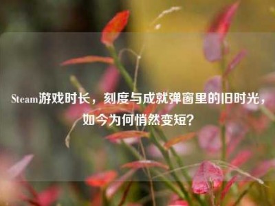 Steam游戏时长，刻度与成就弹窗里的旧时光，如今为何悄然变短？