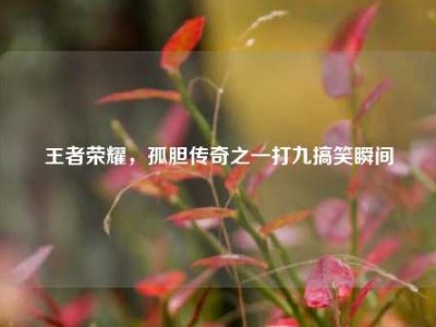 王者荣耀，孤胆传奇之一打九搞笑瞬间