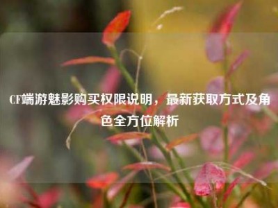 CF端游魅影购买权限说明，最新获取方式及角色全方位解析